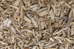 biomass boilers Carfin